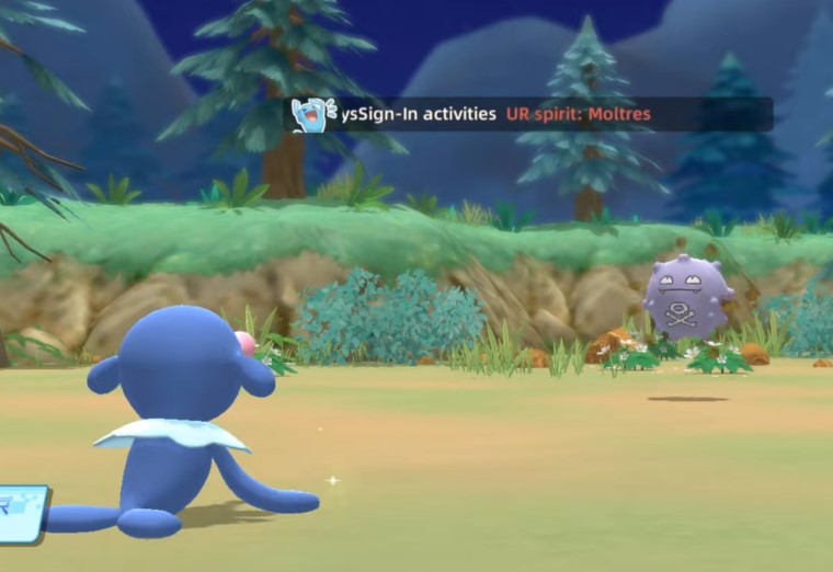 Full Size of Ultra Era Pet: How Much Storage Space Do You Need?