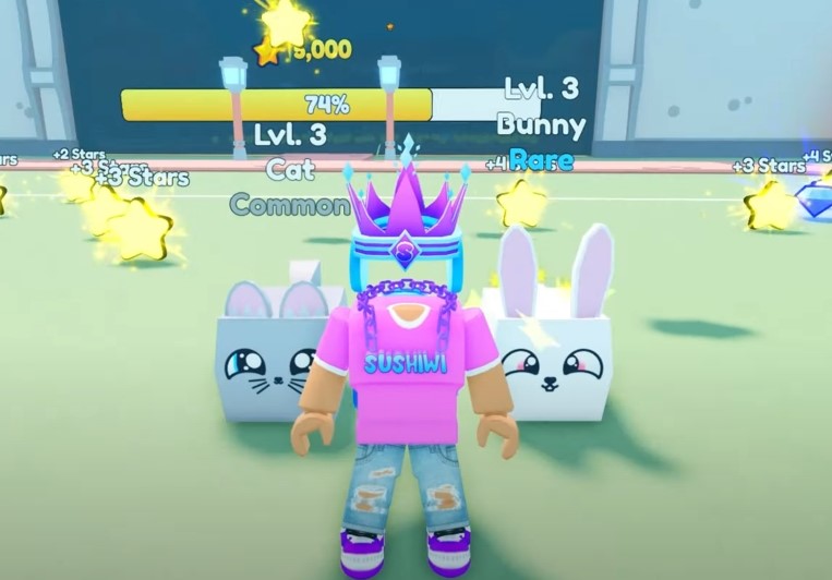 Pet Star Simulator Guide: Tips & Tricks for Beginners
