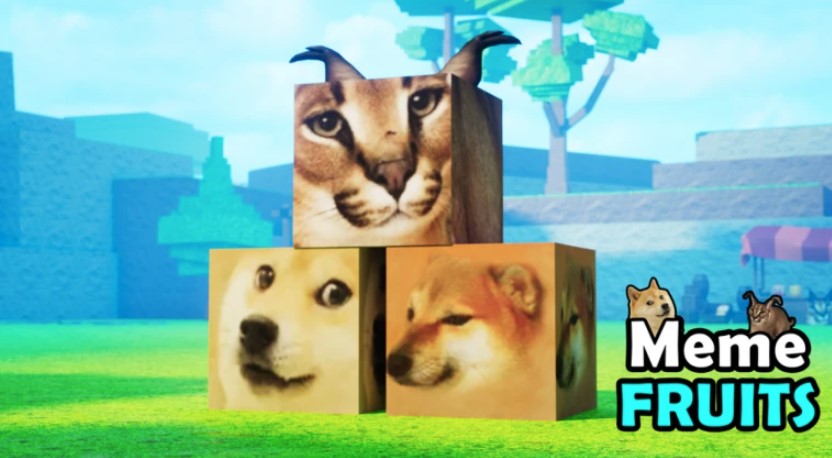 Meme Fruits Codes & Gift