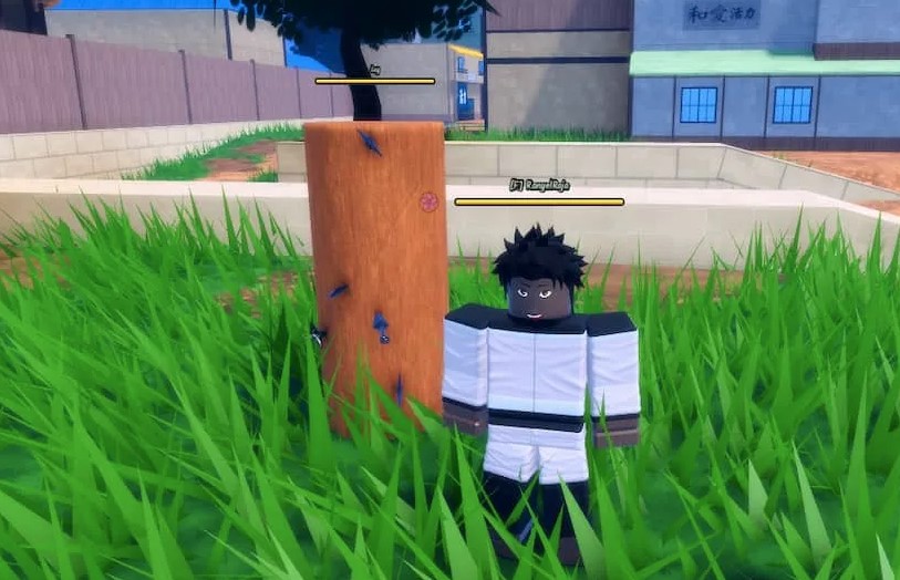Ninja Time Controls Guide: Master the Keybinds on PC