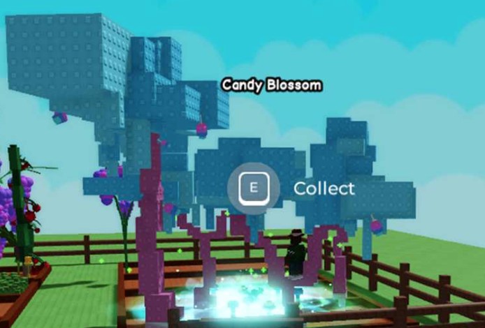 All Ways to Get Candy Blossom in Grow a Garden (Test Server, Raccoon, Trade)