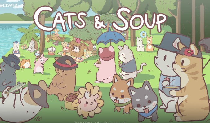 Cats & Soup