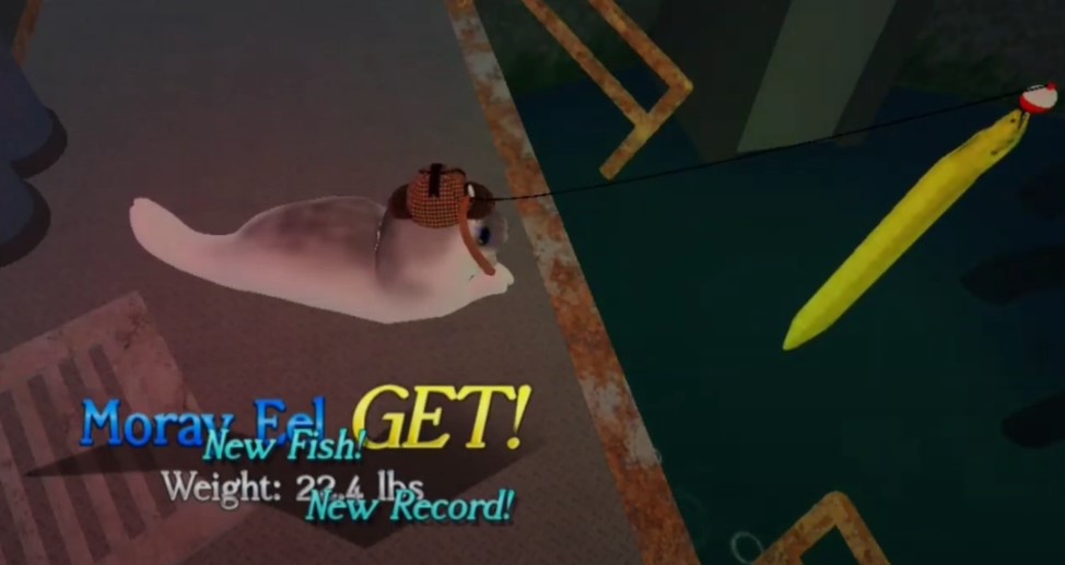 How to Catch Moray Eel in Be a Silly Seal Roblox – Secret Fishing Spot Guide