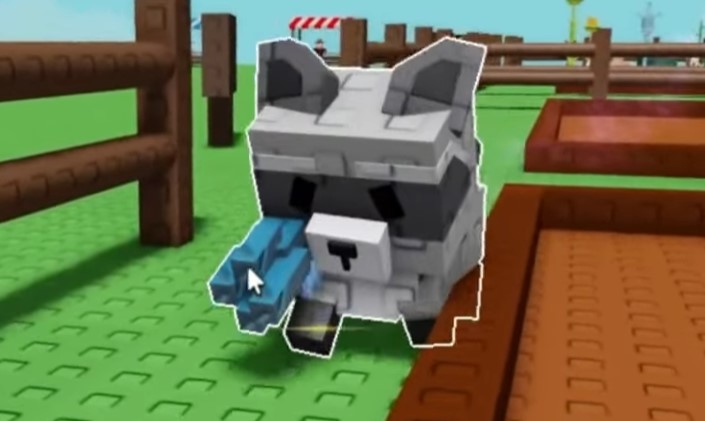 How to Get Raccoon in Grow a Garden Roblox