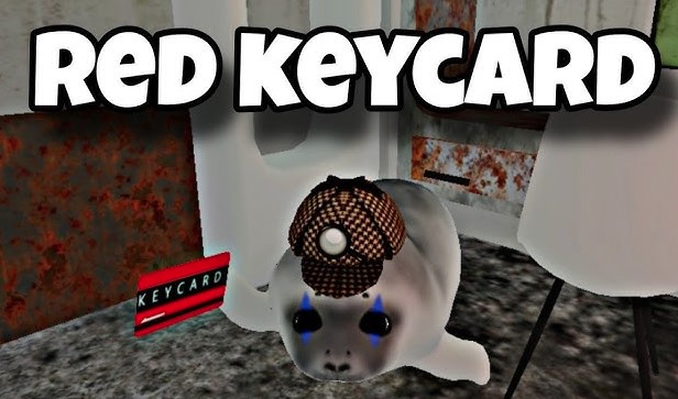 How to Get Red Keycard in Be a Silly Seal Roblox – Rare Spawn Location Guide