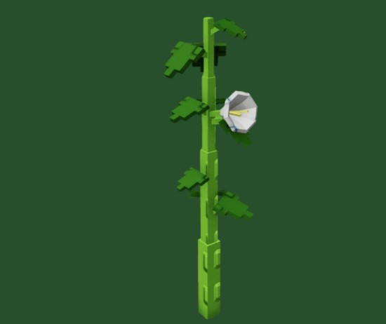 Moonflower Plant in grow a garden