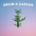 Horsetail Guide in Grow a Garden – Crafting, Seeds & Tips
