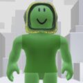 How to Get the Green Bean Avatar in Grow a Garden Roblox