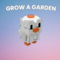 How to Get Sunny-Side Chicken in Grow a Garden (Stats, Ability)