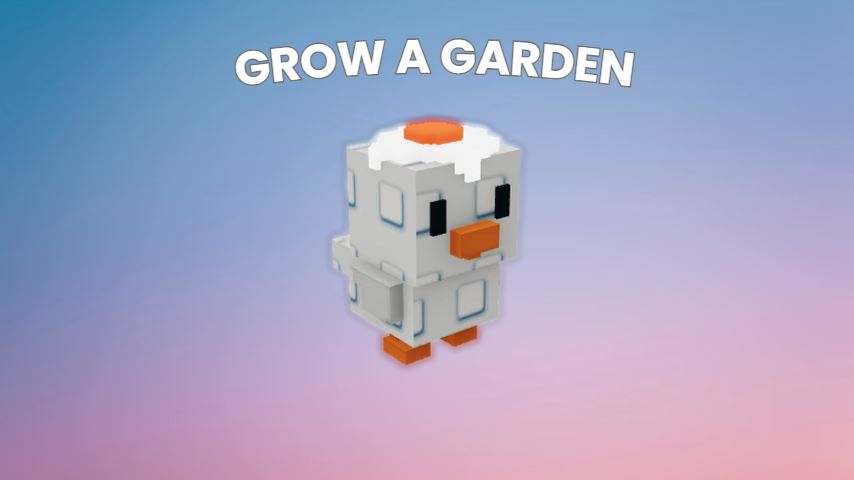 How to Get Sunny-Side Chicken in Grow a Garden (Stats, Ability)
