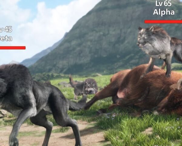Wolf Game Wild Animal Wars Codes