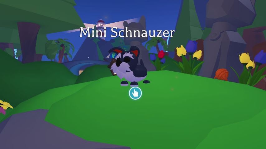 How to Get Mini Schnauzer in Adopt Me – Homepass Guide and Tips
