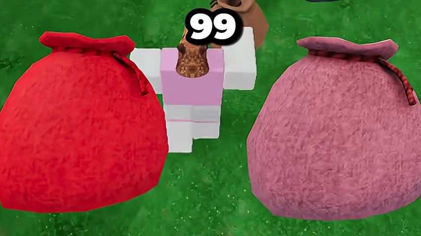 How to Get All Sacks in 99 Nights in the Forest