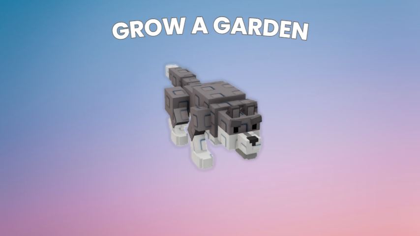 What Does the Wolf Pet Do in Grow a Garden – Ability, Stats, and How to Get It