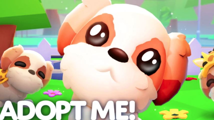 Adopt Me Daily Free Egg Update Guide – New Shih Tzu Pet, Tasks, and Rewards