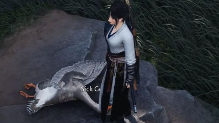 How to Finish the “To Heal or Not To Heal” Quest in Where Winds Meet (Tips & Rewards)