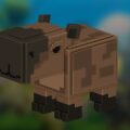 How to Get the Capybara in Raise Animals – Abilities, Speed Stats & Rewards
