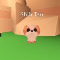 How to Get the Shih Tzu Pet in Adopt Me