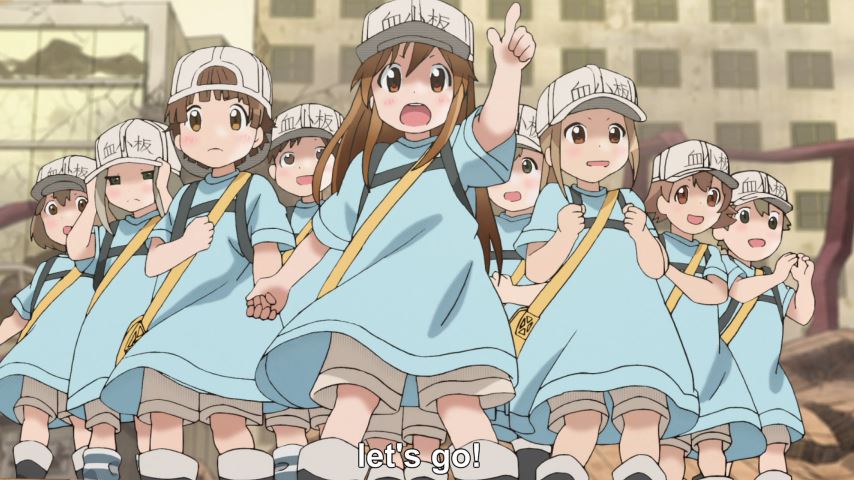 How to Watch Cells at Work in Order