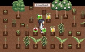 Read more about the article Cara Mendapatkan Tomat di Cisini Stories