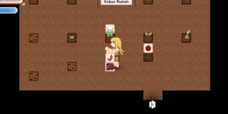 Cisini Stories: Cara Mendapatkan Kapas, Tusuk Sate, Batang Kayu, Daun, Sarang Laba-Laba, Tomat, Kertas, Lem, Benang