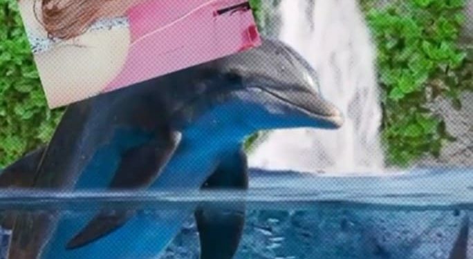 Tren Pose Lumba-Lumba TikTok yang Bikin Gemes, Tapi Hati-hati Ya