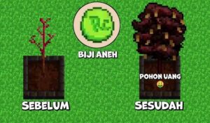 Read more about the article Biji Aneh Citampi Stories untuk Mendapatkan Pohon Uang