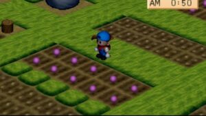 Read more about the article Bola Anjing – Harvest Moon Back to Nature