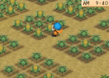 Daftar Harga Barang di Harvest Moon Back to Nature Terlengkap