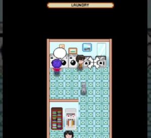 Read more about the article Fungsi Laundry di Citampi Stories dan Cara Menggunakanya