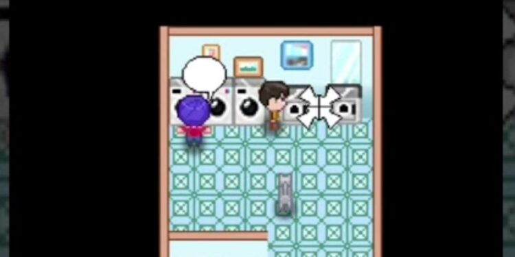 Fungsi Laundry di Citampi Stories dan Cara Menggunakanya