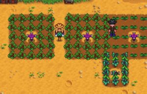 Read more about the article Semua Tanaman Spring di Stardew Valley dan Tips Memaksimalkanya