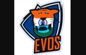 Read more about the article Arti Evos India dan Lengkap Dengan Rosternya di Game Mobile Legends