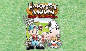 Read more about the article Tips Tahun Pertama di Harvest Moon Back to Nature (HMBTN)