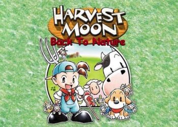Tips Tahun Pertama di Harvest Moon Back to Nature (HMBTN)