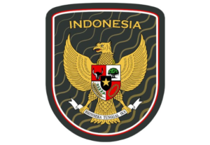 Read more about the article URL Kit dan Logo Timnas Indonesia DLS 25