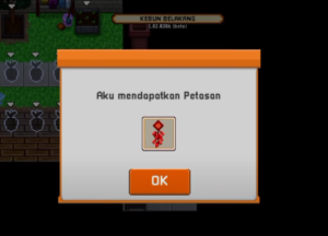 Read more about the article Cara Mendapatkan Petasan Di Citampi Stories